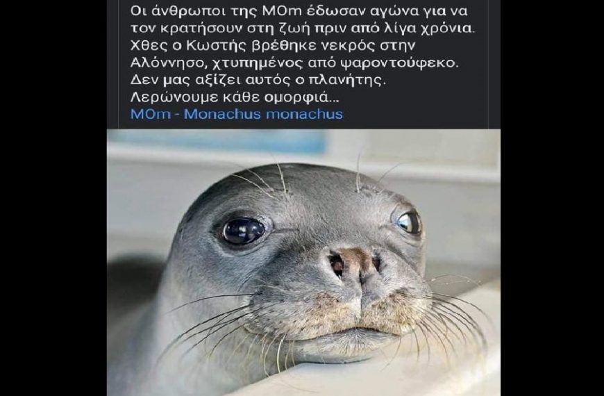 η συνεργεια της σιωπης