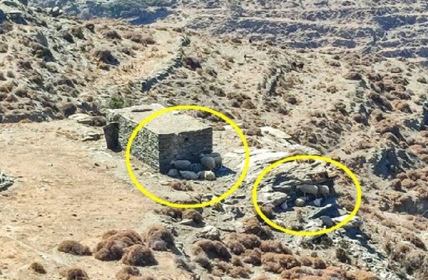 Δεν εχουν αναγκη – ζωα ειναι!