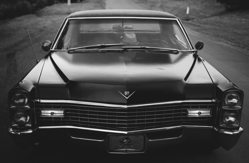 βιθουρανος – η ζελατινενια ανακοινωση